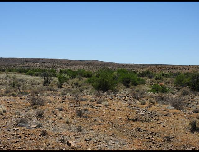 2,363HA FARM FOR SALE IN MERWEVILLE